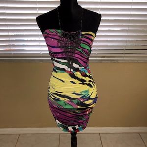 Multi-Color Tiger Print Dress